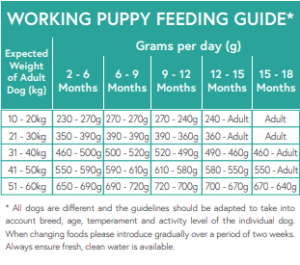 Grain free puppy feeding guide