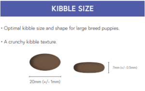 large breed kibble size