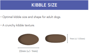 Salmon & potato kibble size