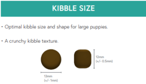 Kibble size large puppy