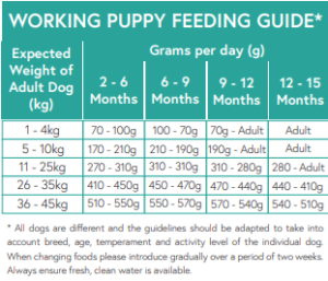 Puppy Salmon With Haddock & Blue Whiting Grain Free Dog Food