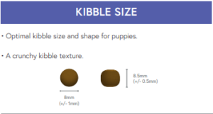 SP puppy kibble size