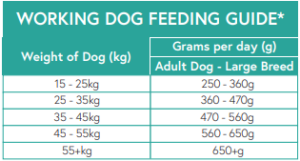 Large Breed dog feeding guide