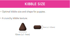 superfood puppy kibble size